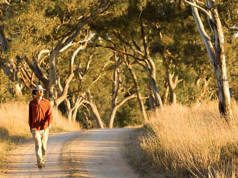Tara Hills Spring