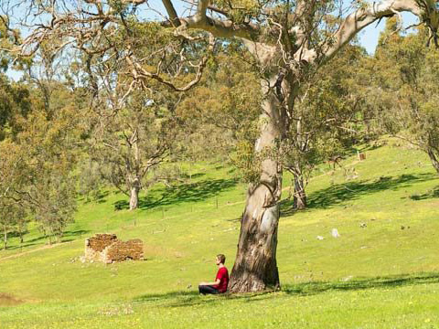 Tara Hills Spring